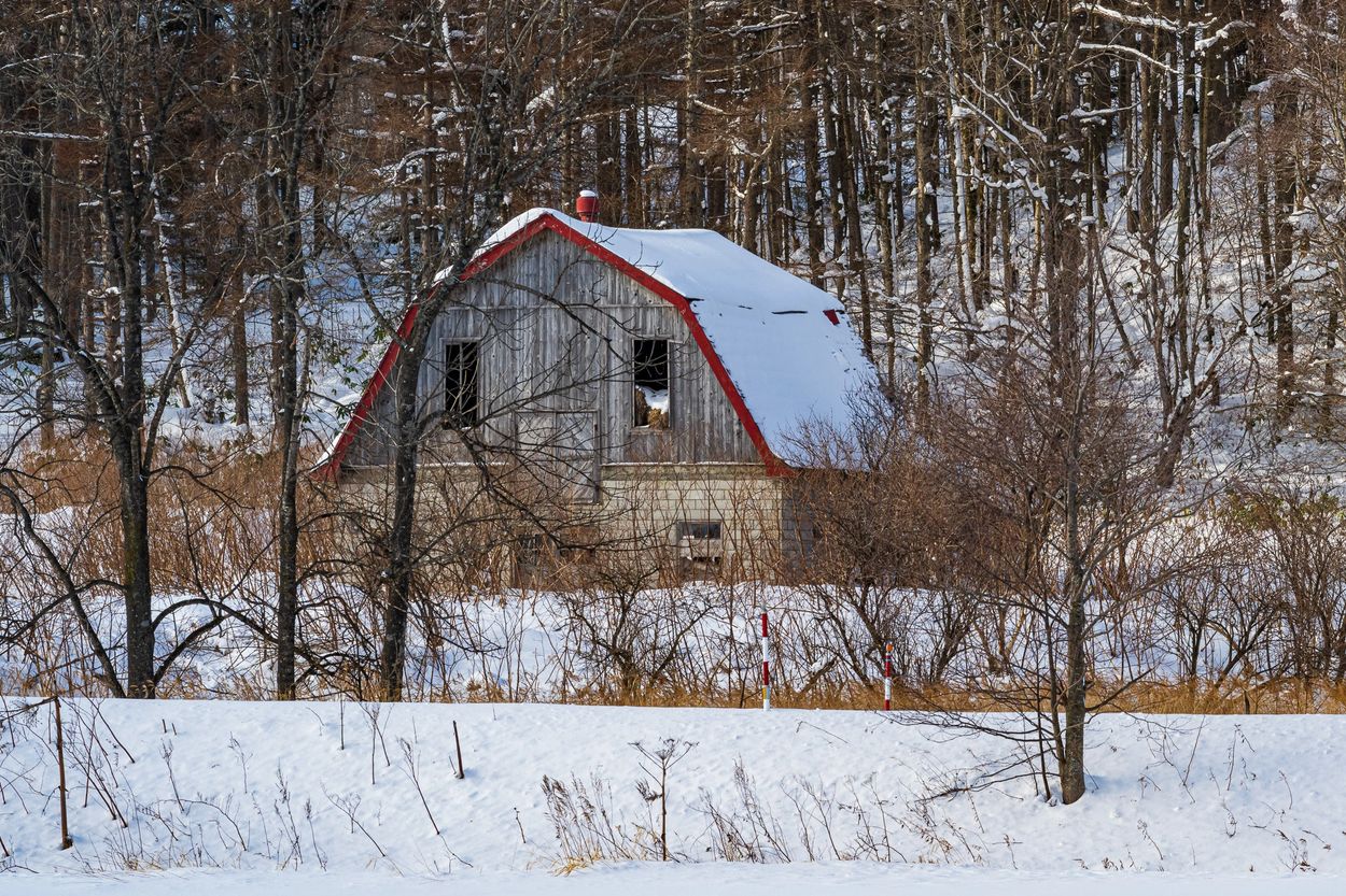 Old Barn in the Woods, near Abashiri, Hokkaido, Japan.