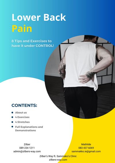 Zilber's Way ft. Sammakko's Clinic free lower back pain PDF guide for assessment and pain control
