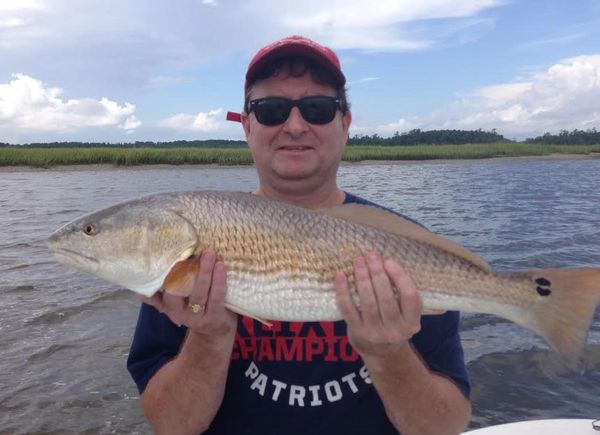 Spinning gear fishing