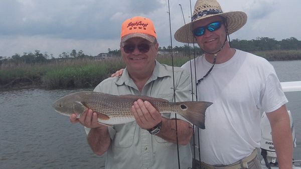 Friends charter