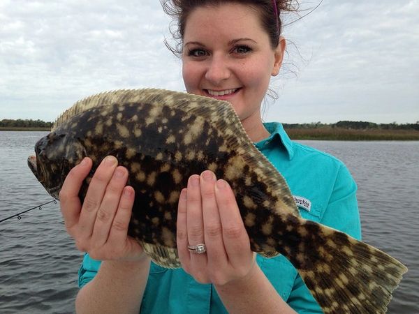 Southern flounder caught and released