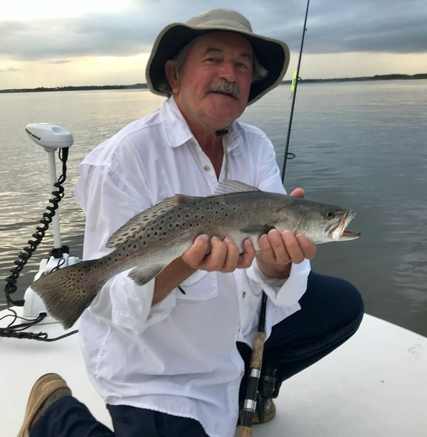 Sea trout during sunrise