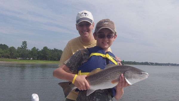 Big redfish