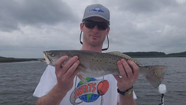 Big sea trout