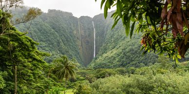 Hawaii packages