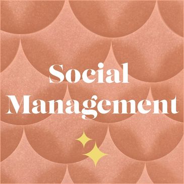 Text 'Social Management' on a peach scale background with sparkles.