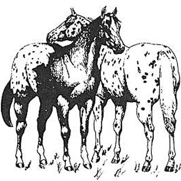 National POA logo, two spotted ponies
