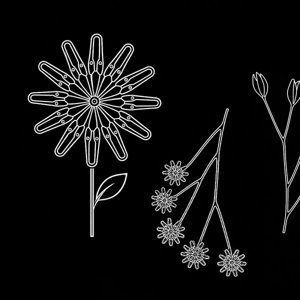 White outlined flowers and buds on black background.