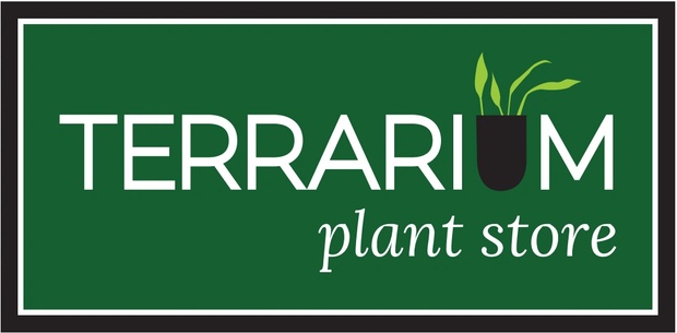 Terrarium Plant Store