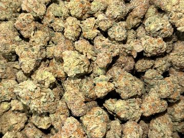 Close-up of cannabis buds.