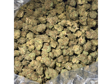 A large quantity of cannabis buds.