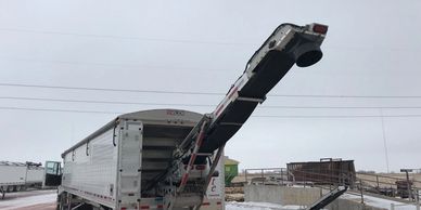 Non-Folding Conveyor Trailer, AgriLite Wilson