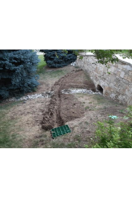 With the addition of (3) heads, this area was brought back to life after years of neglect.