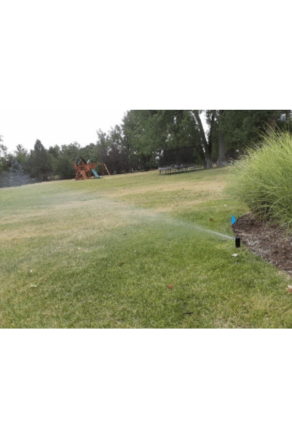 It's true. Ornamental grasses or other decorative plants often obscure the full path of sprinklers.