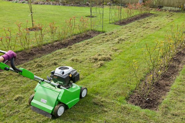 Rake collecting grass clippings in a yard.
