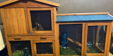 AliExpress Rabbit Cage