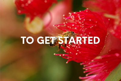 Getting Started with Your Therapist