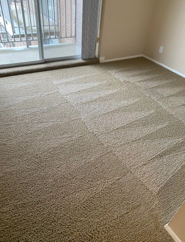 Carpet Cleaned