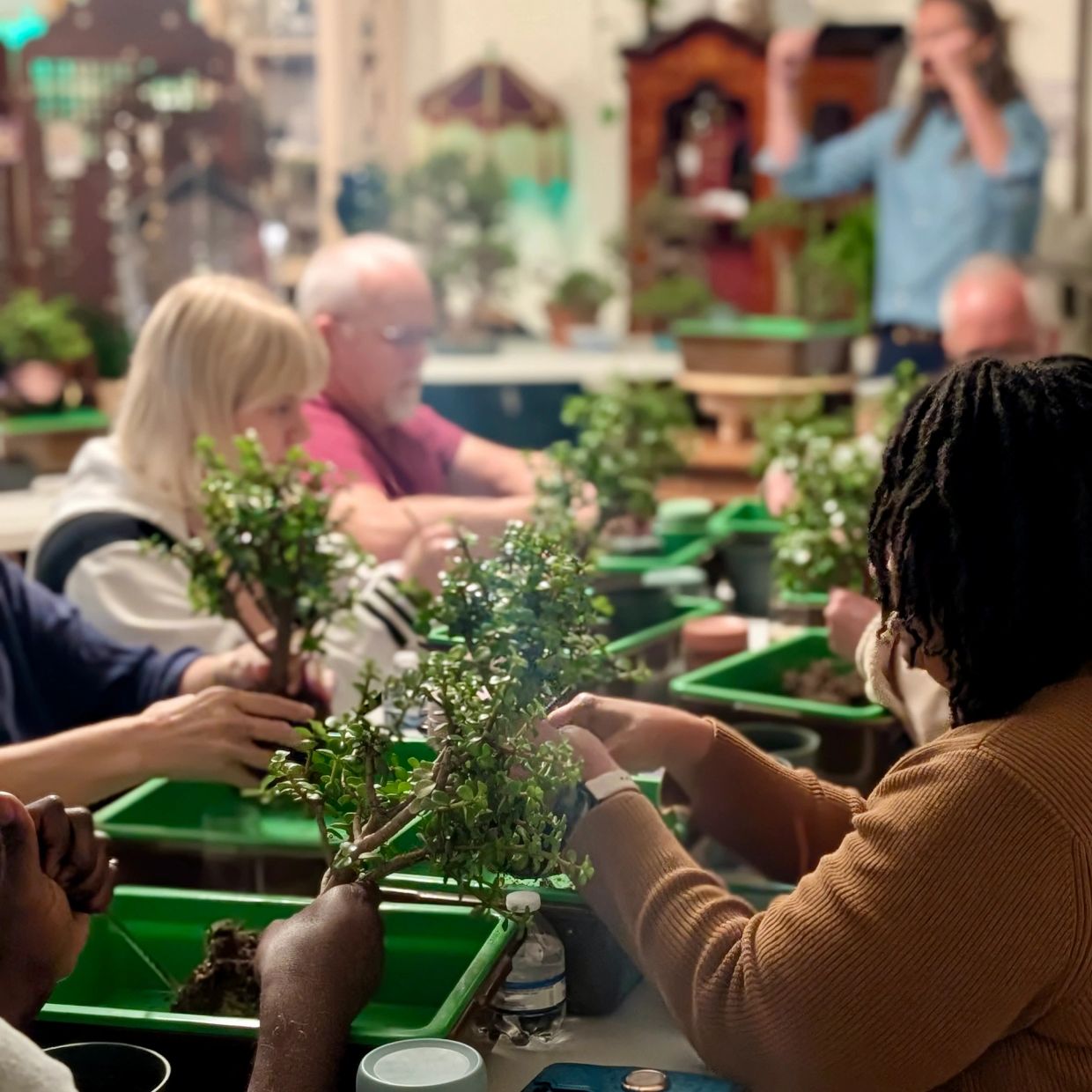 People tending to bonsai plants in a workshop.