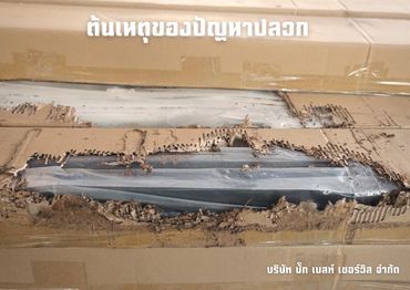 ต้นเหตุของปัญหาปลวก