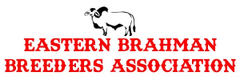 Eastern Brahman Breeders Association