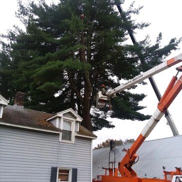 A bucket truck for your tall tree projects.
