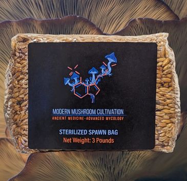 Organic Premium Grain Spawn Bag - the ultimate solution for mushroom enthusiasts seeking quality.