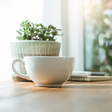 Table with plant, coffee, and notebook