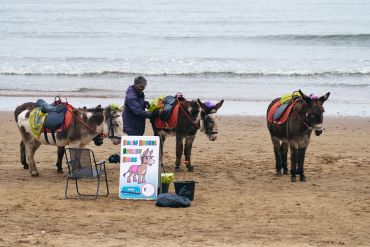 Person preparing donkeys for rides on a beach with a colorful sign.