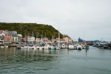 A marina filled with boats against a backdrop of buildings and a hillside.