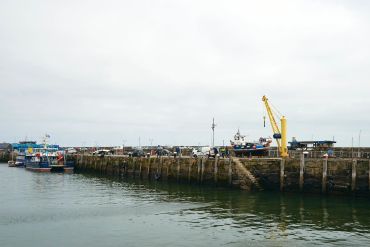 Fishing boats docked at a busy harbor with a yellow crane.