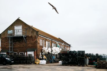 Seagulls flying near a fishing warehouse with lobster pots and buoys.