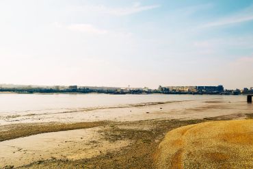 A calm riverbank with buildings in the distance under a clear sky.
