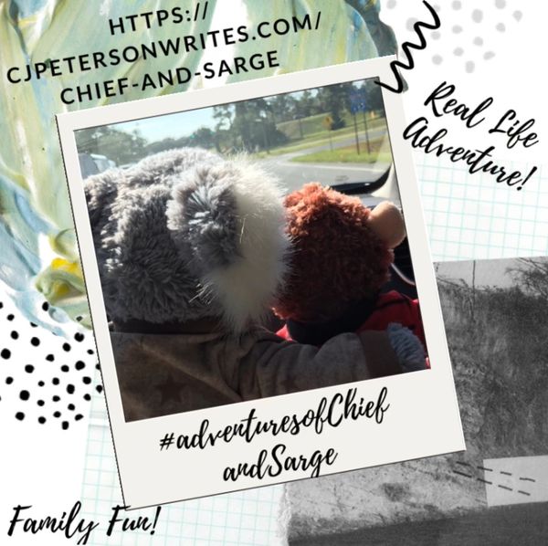 Real Life Adventures of Chief and Sarge logo