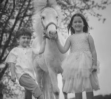 portrait photography , family photography, fine art photography, sarnia, event photography