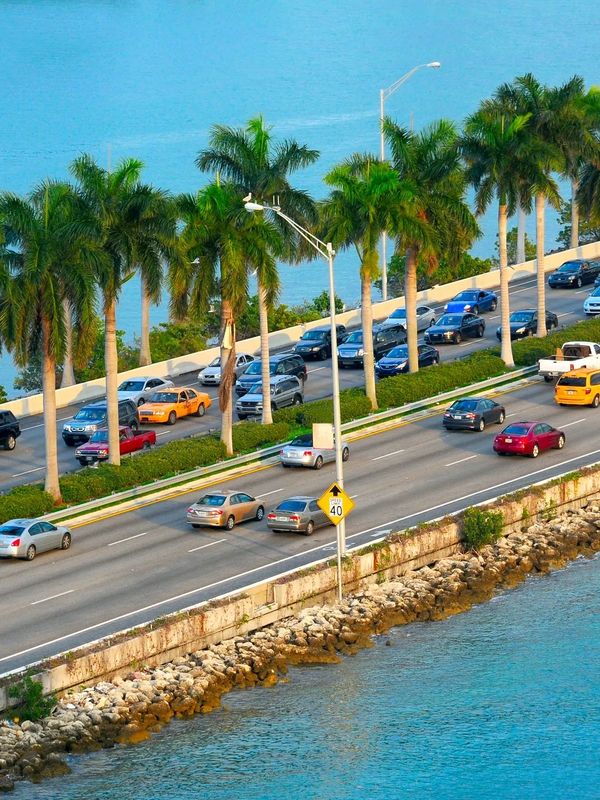 Traffic on a palm tree-lined coastal road.