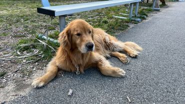 Hamilton keeping a watchful eye on the action! He called the ball OUT!