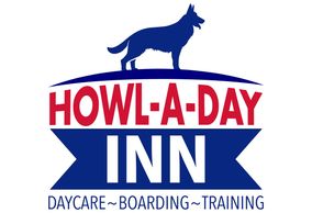 Logo Design Services