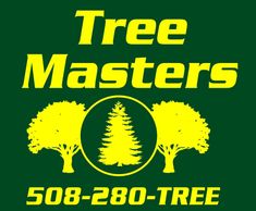 Logo Design Services