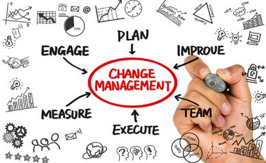 Floodgate Systems, Inc, fsallstars, Business Consulting, consultants, Consultancy, technology, AI,