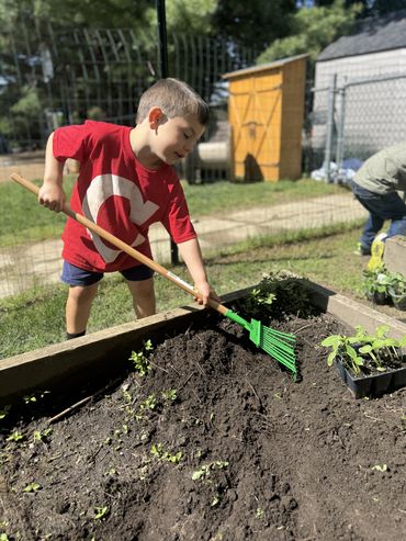 A young boy in a red shirt rakes soil in a raised garden bed outdoors.