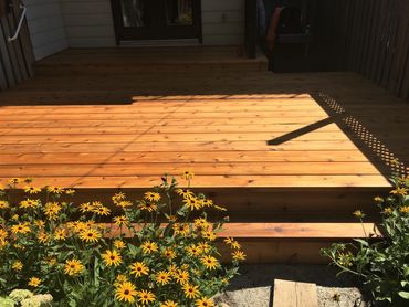 New cedar deck stained with semi-transparent oil stain.