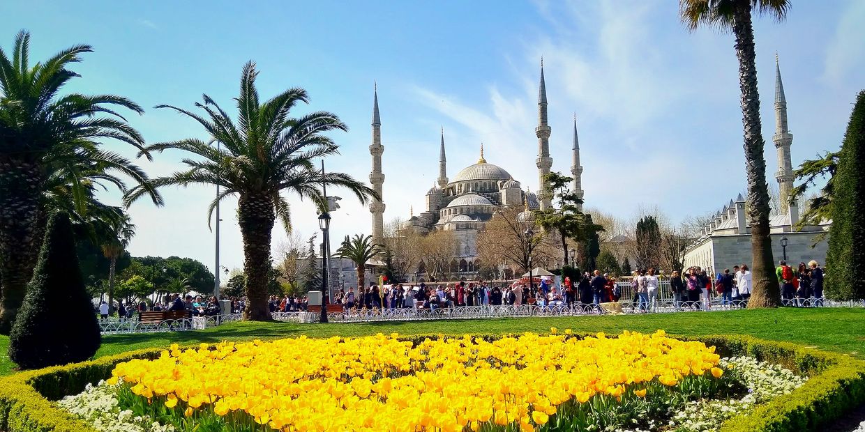 Blue mosque in spring