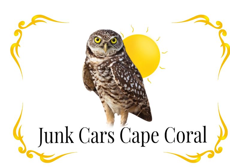 a burrowing owl, Cape Coral's official animal, right in front of a sun

Junk Cars Cape Coral