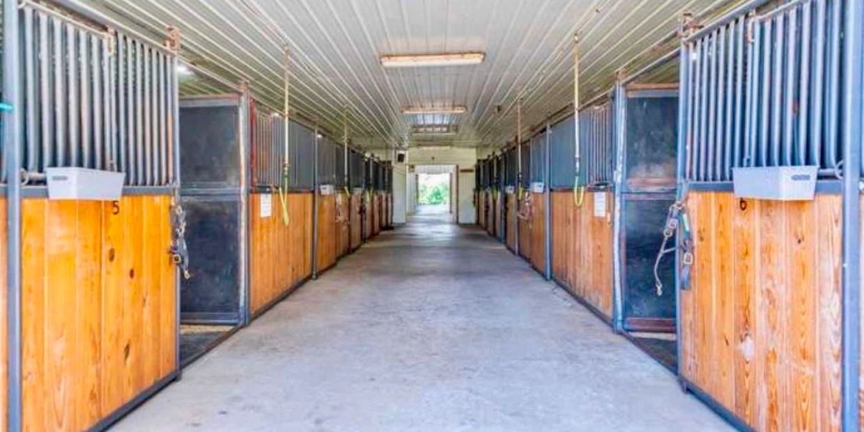 Empty horse stable aisle with wooden stalls.