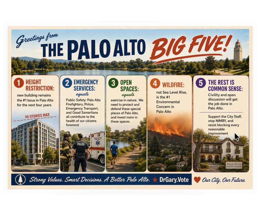 The Palo Alto Big Five key issues for the city’s future.