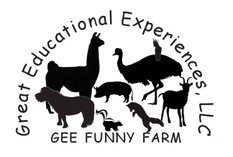 Great Educational Experiences, LLC