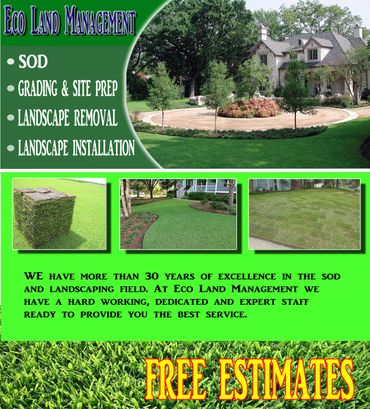 New Lawn and Landscaping 