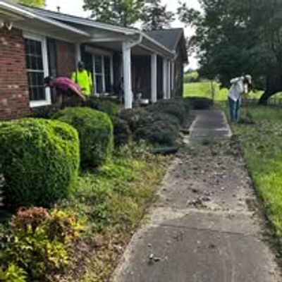 People trimming bushes and cleaning a walkway outside a brick house.