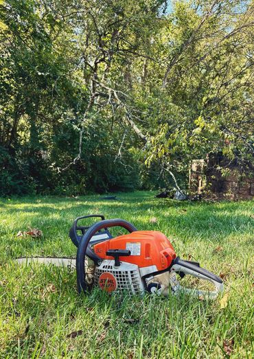 Chainsaw and tree removal after storm damage
